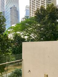 Icon (D2), Apartment #157165102